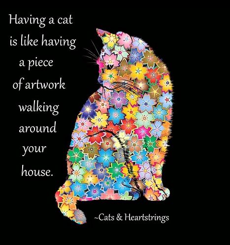 343414794_765556014943574_7274775399597722455_n