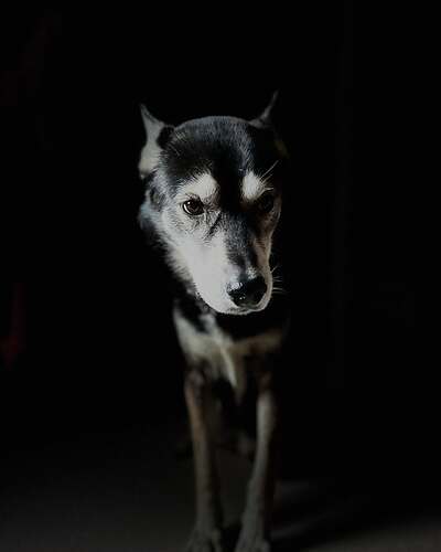 502720354_17901757413190062_5453959295755531489_n