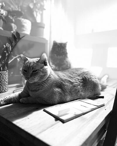 471960293_17883835869190062_1446172895025642072_n