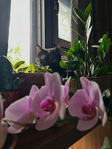 502647896_17901770847190062_5856209508171544009_n