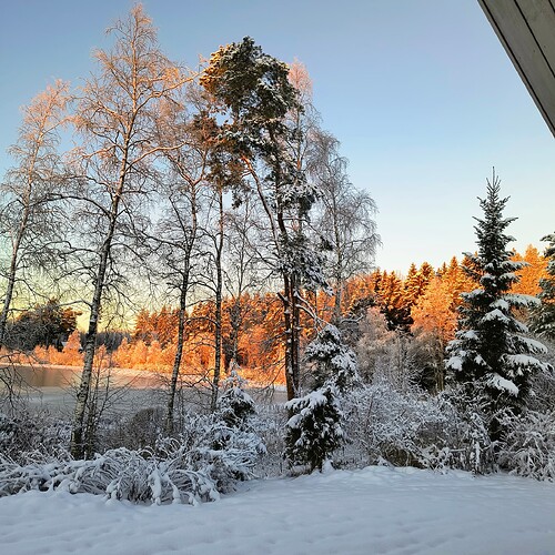 IMG_20251122_091600939_AE