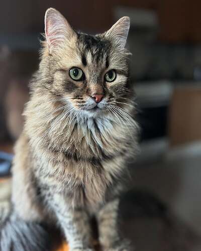 467596059_17878360341190062_7081630158988895753_n